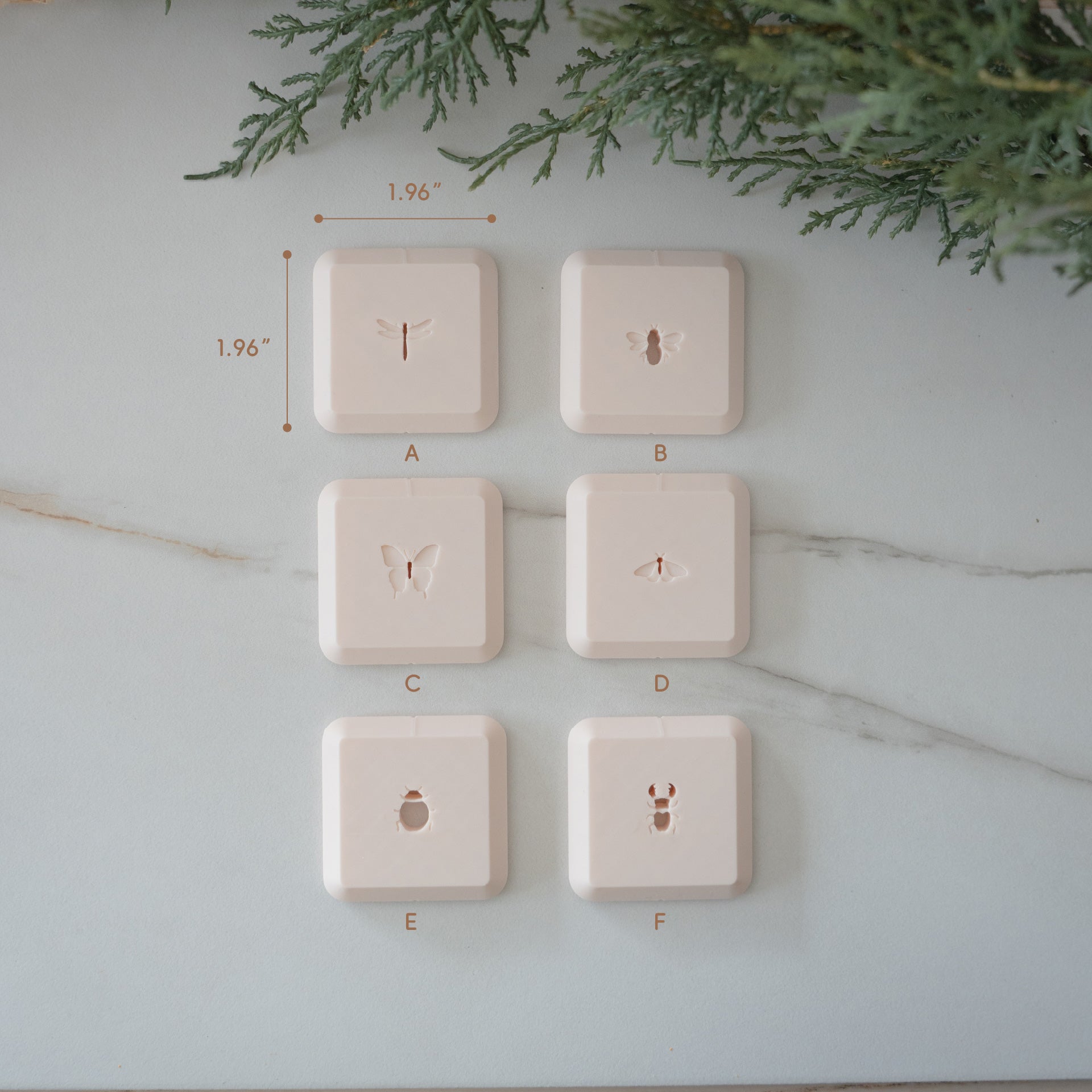 Butterfly & Insect Cutter Set