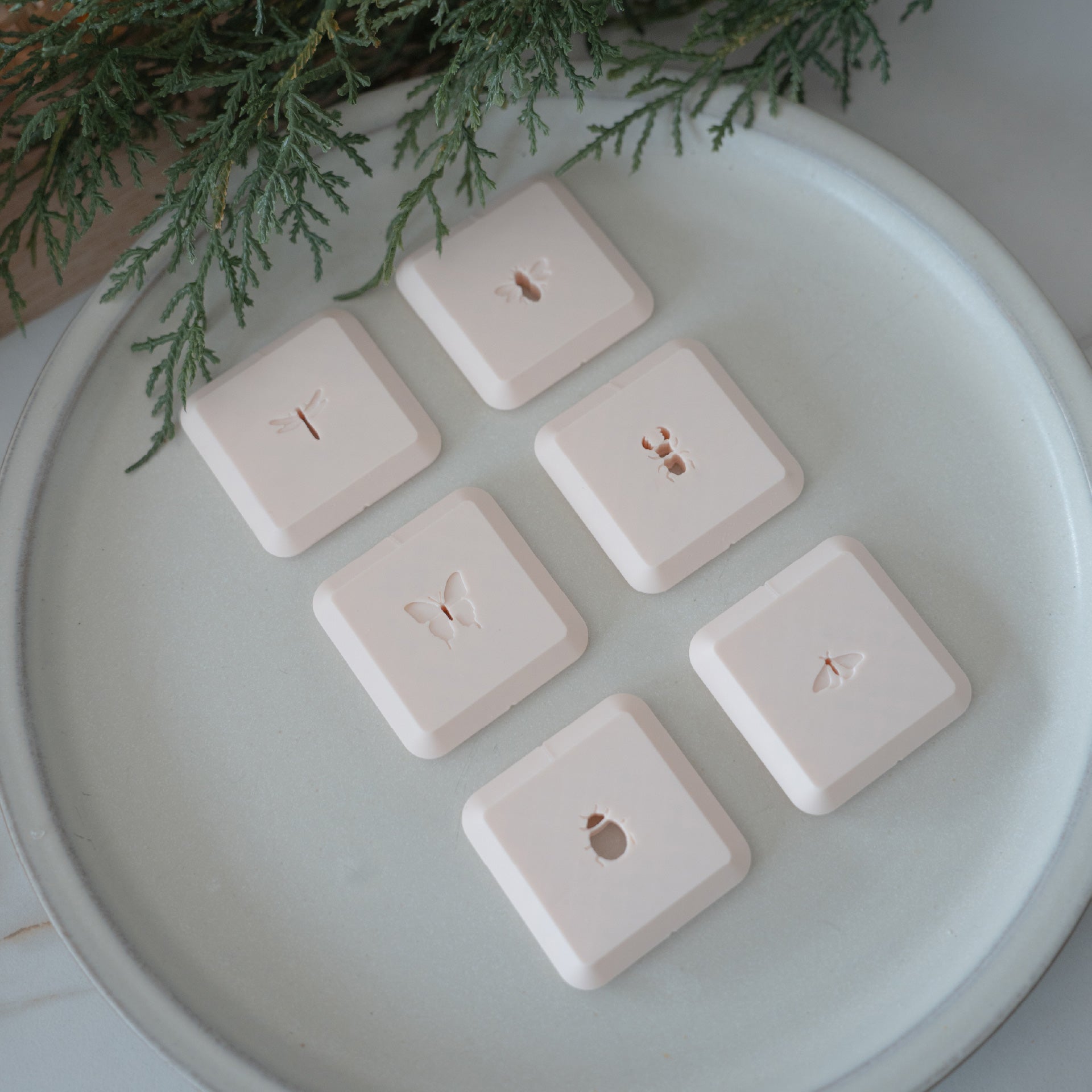 Butterfly & Insect Cutter Set