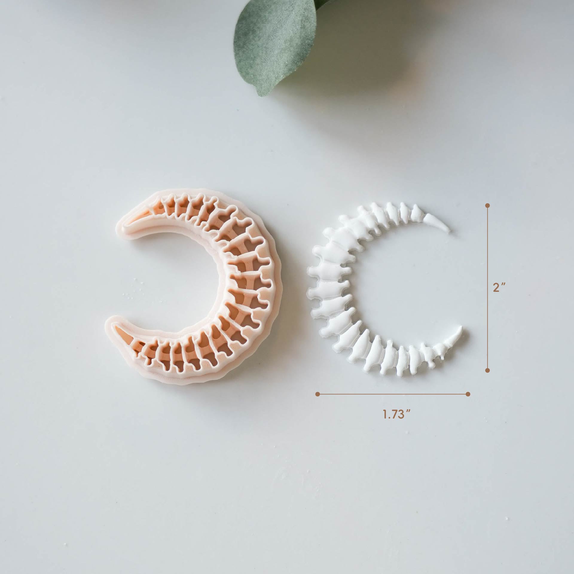 Crescent moon spine clay cutter size 2 by 1.73 inches