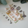 Broom hat cat and bow polymer clay cutters