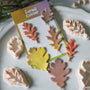 FG100 oak leaf cutter and clay craft detail 2